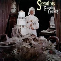 Sassafras - Expecting Company: Remastered And E in the group CD / Pop-Rock at Bengans Skivbutik AB (1003310)
