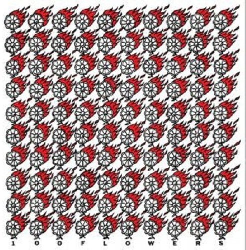 100 Flowers - 100 Flowers in the group VINYL / Rock at Bengans Skivbutik AB (1009732)