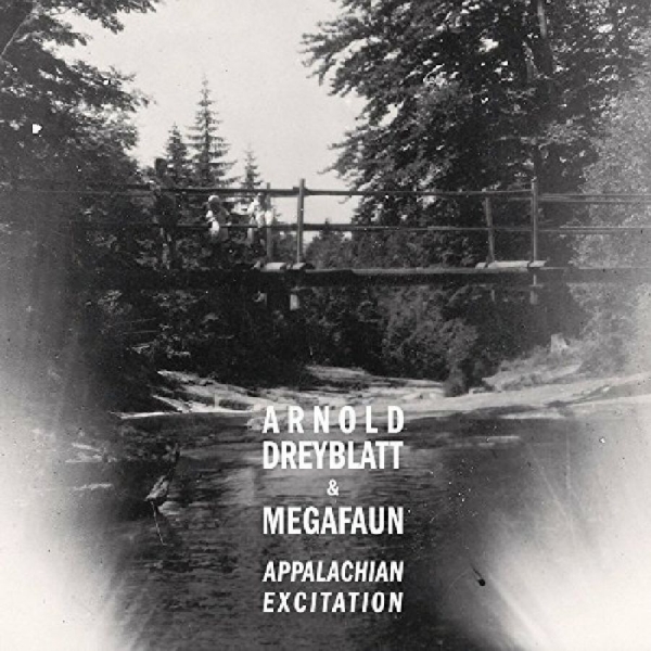 Dreyblatt Arnold & Megafaun - Appalachian Excitation in the group CD / Bestsellers at Bengans Skivbutik AB (1012062)