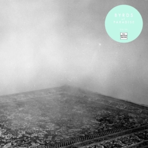 Byrds Of Paradise - Teenage Symphonies in the group VINYL / Rock at Bengans Skivbutik AB (1012477)