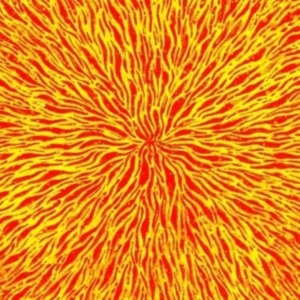 Cars & Trains - We Are All Fire in the group OTHER / Övrigt / at Bengans Skivbutik AB (1012516)