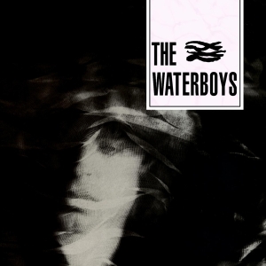 Waterboys - Waterboys in the group Minishops /  at Bengans Skivbutik AB (1020032)
