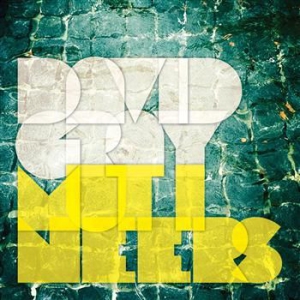 Gray David - Mutineers (Incl. Bonus Track) in the group VINYL / Pop-Rock at Bengans Skivbutik AB (1022273)