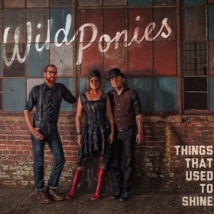Wild Ponies - Things That Used To Shine in the group CD / Pop-Rock at Bengans Skivbutik AB (1023740)