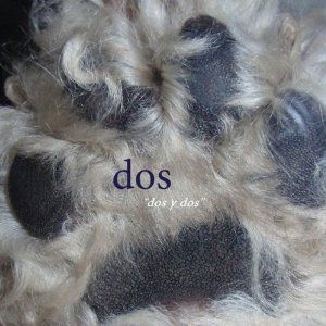 Dos (Mike Watt) - Dos Y Dos in the group CD / Rock at Bengans Skivbutik AB (1023826)