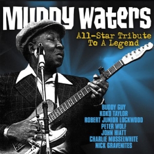 Blandade Artister - All-Star Tribute To Muddy Waters in the group CD / Rock at Bengans Skivbutik AB (1032360)