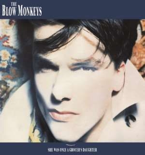 Blow Monkeys - She Was Only A Grocer's Daughter: D in the group CD / Pop at Bengans Skivbutik AB (1044923)