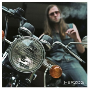 Herzog - Boys in the group CD / Pop-Rock at Bengans Skivbutik AB (1049711)