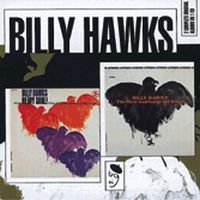 Hawks Billy - New Genius Of The Blues/Heavy Soul! in the group CD / Pop-Rock at Bengans Skivbutik AB (1060428)