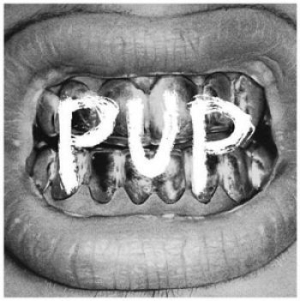 Pup - Pup in the group CD / Pop-Rock at Bengans Skivbutik AB (1088484)