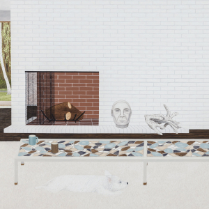 Lattimore Mary & Jeff Zeigler - Slant Of Light in the group CD / Pop-Rock at Bengans Skivbutik AB (1102057)