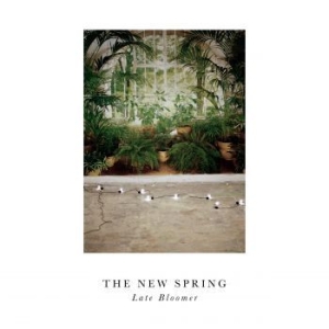 New Spring The - Late Bloomer in the group VINYL /  at Bengans Skivbutik AB (1105112)