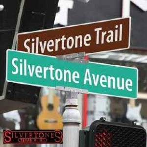 Silvertones - Silvertone Avenue in the group CD / Jazz/Blues at Bengans Skivbutik AB (1105327)