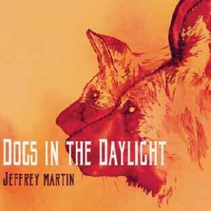 Martin Jeffrey - Dogs In The Daylight in the group CD / Pop at Bengans Skivbutik AB (1105351)