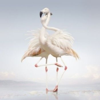Rustie - Green Language in the group VINYL / Bestsellers at Bengans Skivbutik AB (1105686)