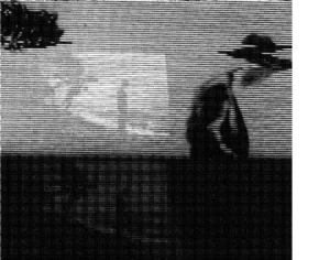 Foxx  John & Steve D'agostino - Evidence Of Time Travel in the group CD / Pop-Rock at Bengans Skivbutik AB (1125492)