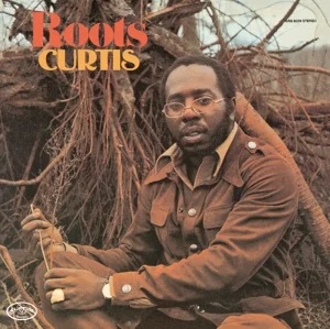 Curtis Mayfield - Roots in the group CD / CD RnB-Hiphop-Soul at Bengans Skivbutik AB (1129928)
