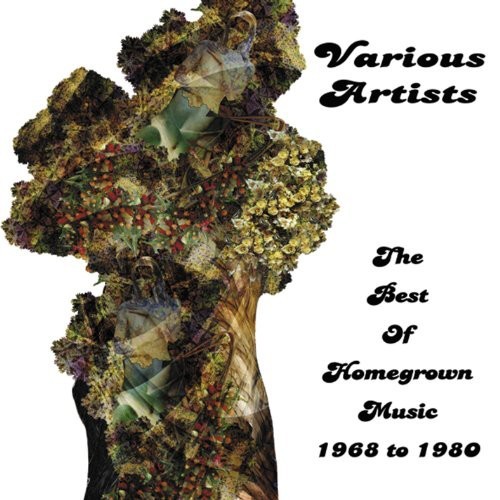 Blandade Artister - Best Of Homegrown Music 1968-1980 in the group CD / Rock at Bengans Skivbutik AB (1131387)