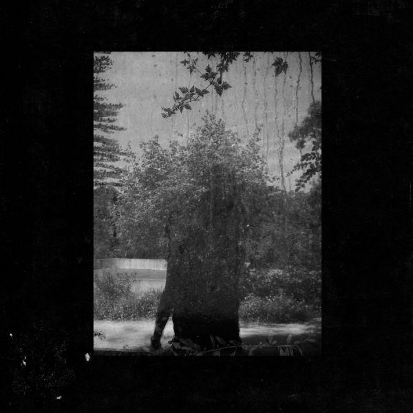 Grouper - Ruins in the group CD / Bestsellers at Bengans Skivbutik AB (1134383)