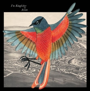 I'm Kingfisher - Avian - Red Vinyl in the group VINYL / Pop-Rock at Bengans Skivbutik AB (1135387)
