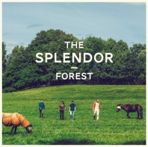 Splendor - Forest in the group VINYL / Jazz at Bengans Skivbutik AB (1142506)