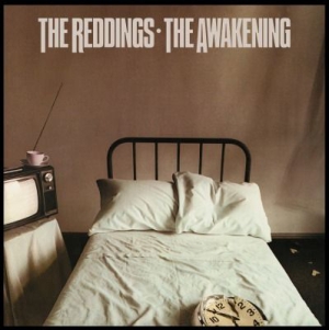 Reddings - Awakening in the group VINYL / Film/Musikal at Bengans Skivbutik AB (1153408)