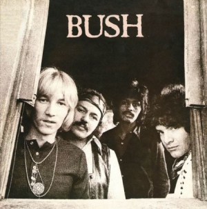 Bush - Bush in the group CD / Pop-Rock at Bengans Skivbutik AB (1154965)
