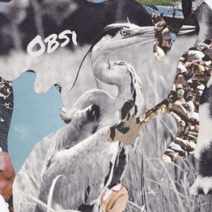 Obsi - Obsi in the group CD / Pop-Rock at Bengans Skivbutik AB (1161338)