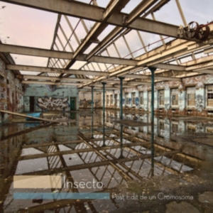 Insecto - Post Edit De Un Cromosoma in the group VINYL / Pop-Rock at Bengans Skivbutik AB (1164784)