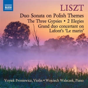 Liszt - Music For Violin And Piano in the group Externt_Lager /  at Bengans Skivbutik AB (1167907)