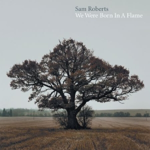 Roberts Sam - We Were Born In A Flame in the group VINYL / Pop at Bengans Skivbutik AB (1187230)