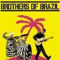 Brothers Of Brazil - Brothers Of Brazil in the group CD / Pop-Rock at Bengans Skivbutik AB (1188917)