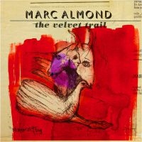 Almond Marc - Velvet Trail (Cd+Dvd) in the group CD / Pop-Rock at Bengans Skivbutik AB (1191578)