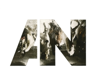 Awolnation - Run in the group CD / Pop-Rock at Bengans Skivbutik AB (1193208)