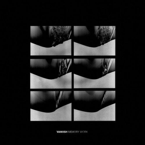 Vaniish - Memory Work (Vinyl) in the group VINYL / Pop at Bengans Skivbutik AB (1193716)