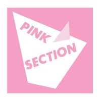 Pink Section - Pink Section in the group VINYL / Pop-Rock at Bengans Skivbutik AB (1193796)