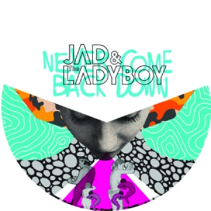 Jad & The Ladyboy - Never Come Back Down in the group VINYL / Dans/Techno at Bengans Skivbutik AB (1244308)