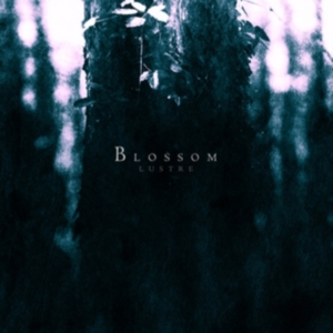 Lustre - Blossom in the group CD / Hårdrock,Svensk Folkmusik at Bengans Skivbutik AB (1247388)