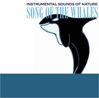 Instrumental Sounds Of Nature - Song Of The Whales in the group CD / Pop-Rock at Bengans Skivbutik AB (1267033)