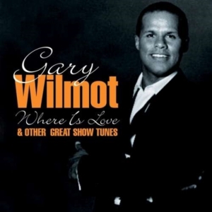 Wilmot Gary - Where Is Love & Other Great Show Tu in the group CD / Pop-Rock at Bengans Skivbutik AB (1267041)