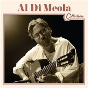 Di Meola Al - Al Di Meola Collection in the group OTHER / MK Test 8 CD at Bengans Skivbutik AB (1273340)