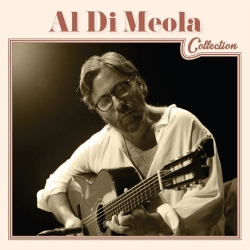 Di Meola Al - Al Di Meola Collection in the group CD / Jazz at Bengans Skivbutik AB (1273340)