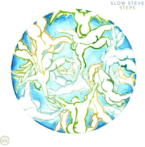 Slow Steve - Steps in the group VINYL / Rock at Bengans Skivbutik AB (1276443)