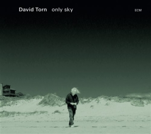 Torn David - Only Sky in the group CD / Jazz at Bengans Skivbutik AB (1278737)