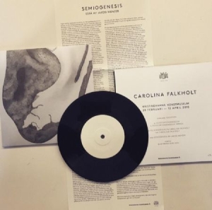 Carolina Falkholt - Associationsrikedom in the group VINYL / Pop-Rock at Bengans Skivbutik AB (1347061)