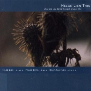 Lien Helge Trio - What Are You Doing The Rest Of Your in the group CD / Jazz/Blues at Bengans Skivbutik AB (1387178)