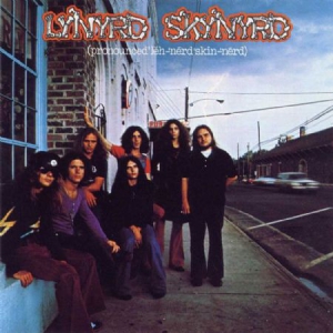 Lynyrd Skynyrd - Pronounced Lennerd Skinnerd (Vinyl) in the group OUR PICKS / Vinyl Campaigns / Vinyl Campaign at Bengans Skivbutik AB (1479660)