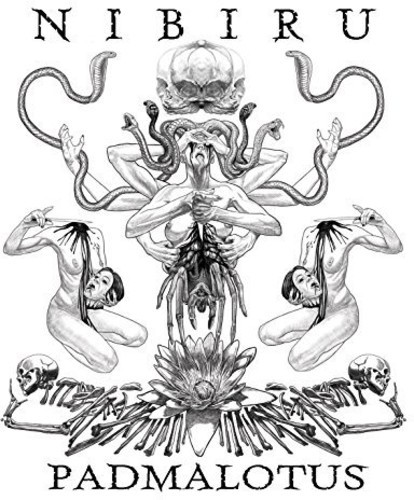 Nibiru - Padmalotus in the group CD / Rock at Bengans Skivbutik AB (1486057)