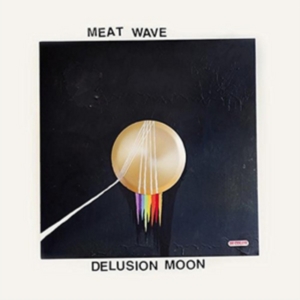 Meat Wave - Delusion Moon in the group CD / Pop-Rock at Bengans Skivbutik AB (1516138)