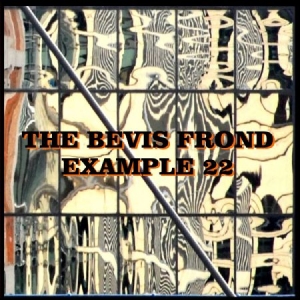 Bevis Frond - Example 22 in the group CD / Rock at Bengans Skivbutik AB (1521233)